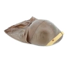 Casque MKII Canadien 1942 & Couvre casque anti-gaz