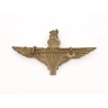 Cap badge Parachute Regiment British Airborne