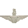 Cap badge Parachute Regiment British Airborne