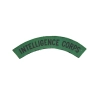 Title Intelligence Corps British Army