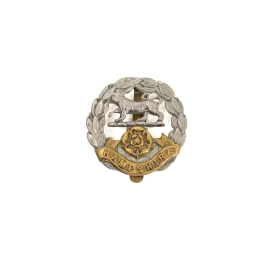 Cap Badge "Hampshire Regiment"
