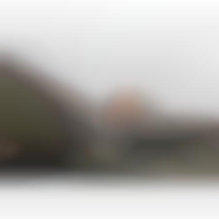 Helmet M-35 camoufled tree-tone