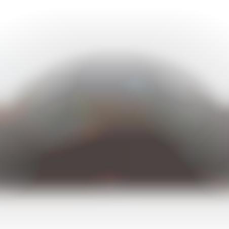 Helmet M-35 camoufled tree-tone
