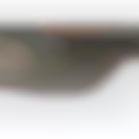 Helmet M-35 camoufled tree-tone