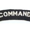 Insigne Royal Naval Commando Britannique