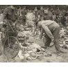 Bike BSA "Machine Folding General Service"