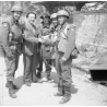 Insignes Beach Group British Army