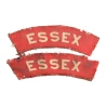 Titles ESSEX Regiment British Army