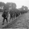 Patche of 15th Infantry Division British Army
