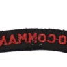 Title 10 Commando British Army